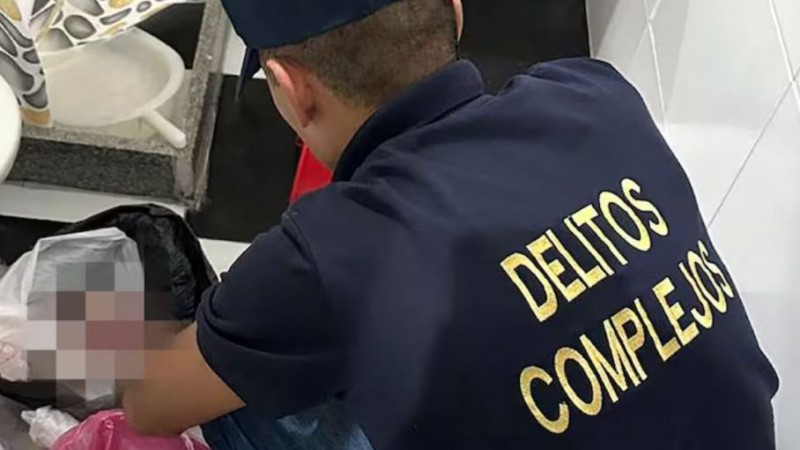 Hallaron ocho fetos en bolsas de residuos en una clínica de Villa Ballester