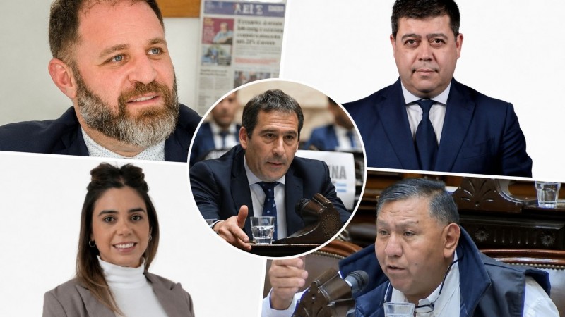 Cómo votaron los diputados de Chubut en la modificación del régimen de zona fría