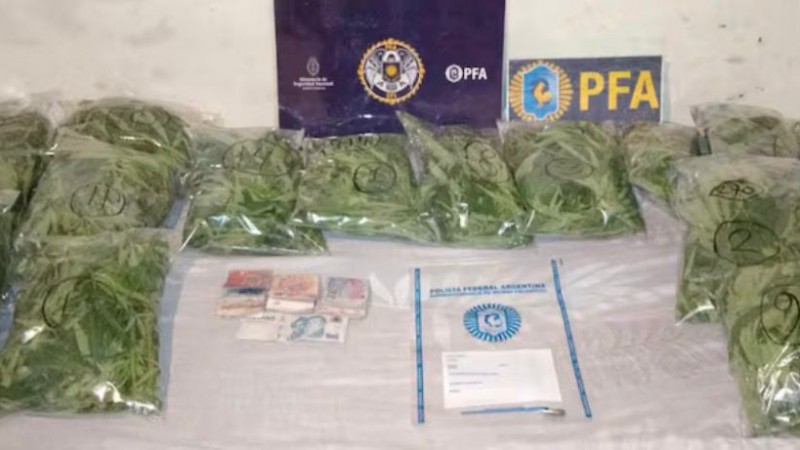 Secuestraron 77 kilos de cocaína en una serie de allanamientos en Buenos Aires