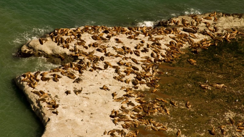 Chubut aprobó el primer Plan de Manejo del Área Natural Protegida Punta Marqués