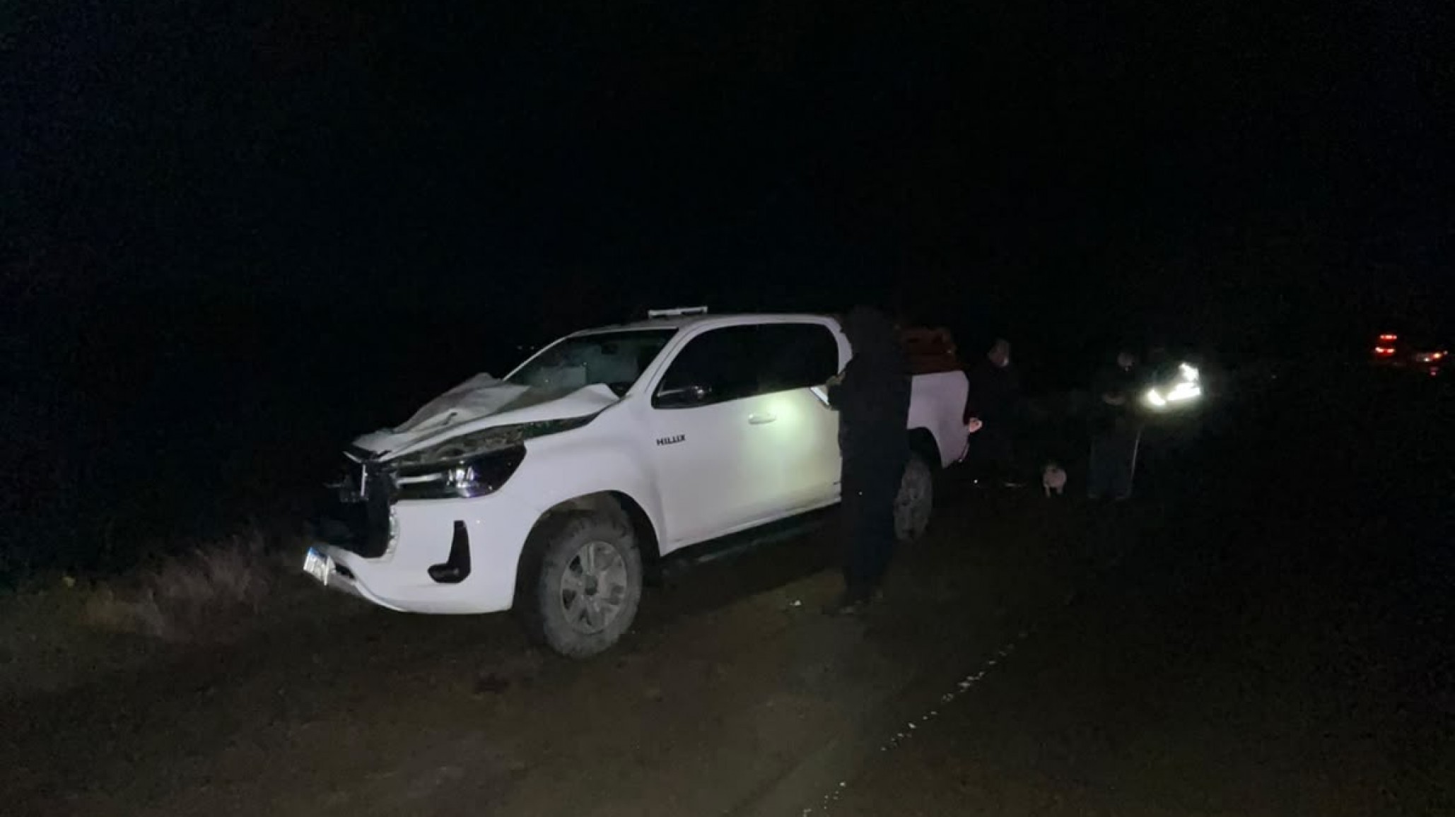 Una camioneta chocó contra un caballo sobre la Ruta 26