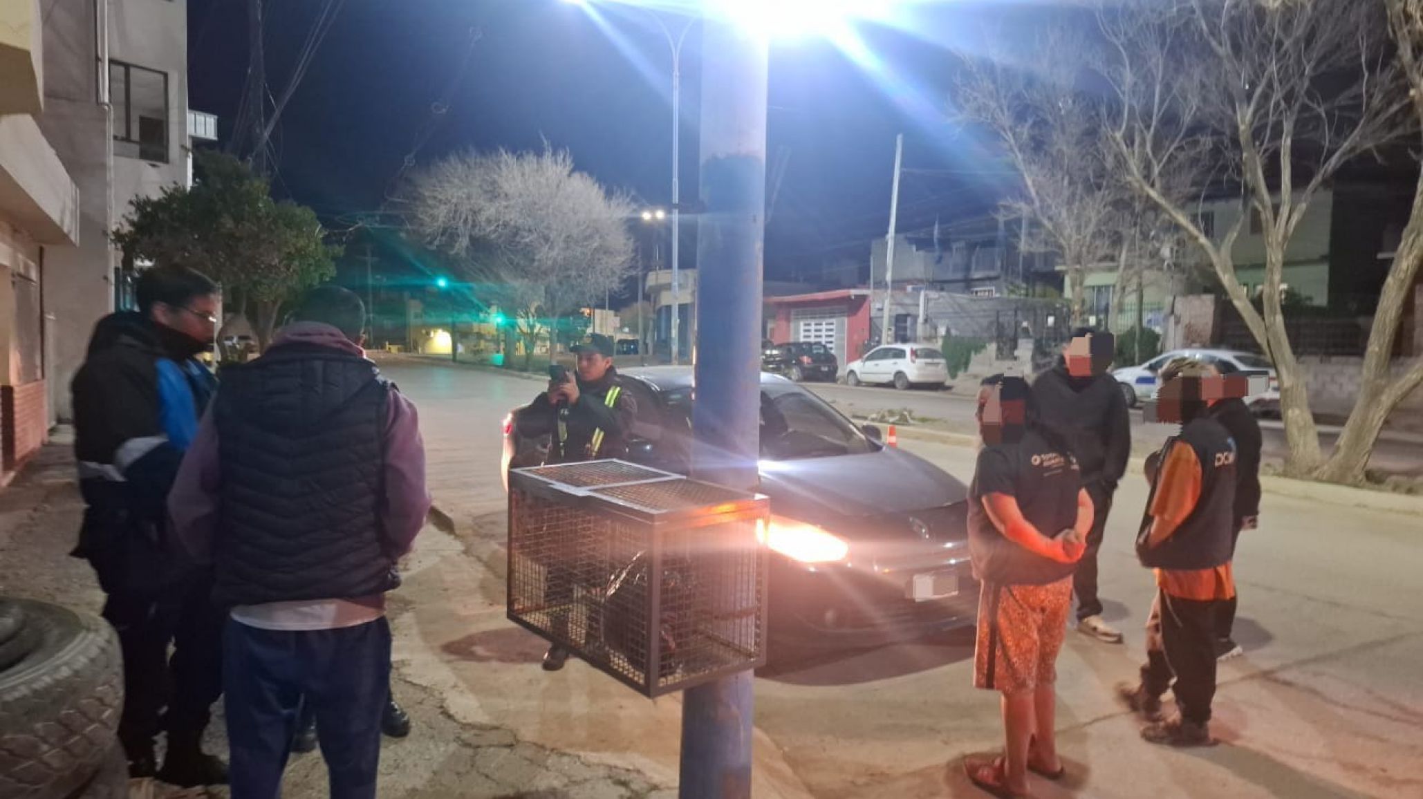 Detectaron una licencia de conducir falsa durante un control de tránsito
