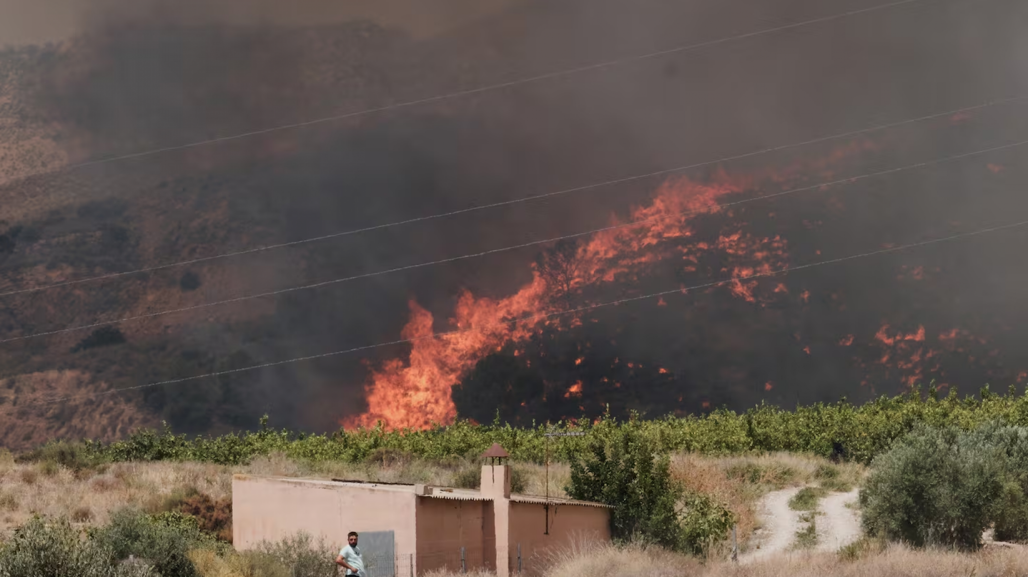 Un incendio arrasó una zona rural de España: hay al menos 12 muertos y 23 desaparecidos