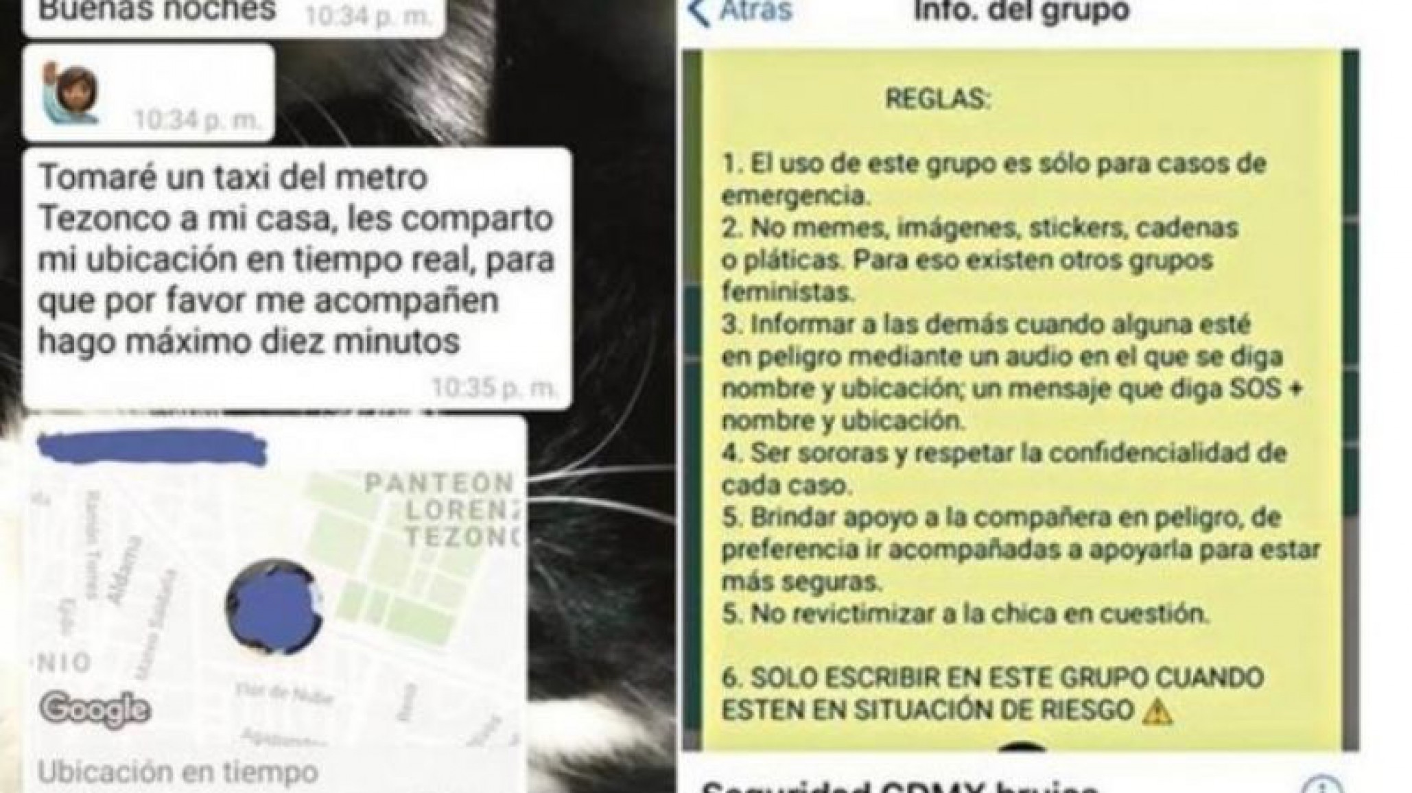 Crearon un grupo de whatsapp de mujeres para avisarse si están en peligro
