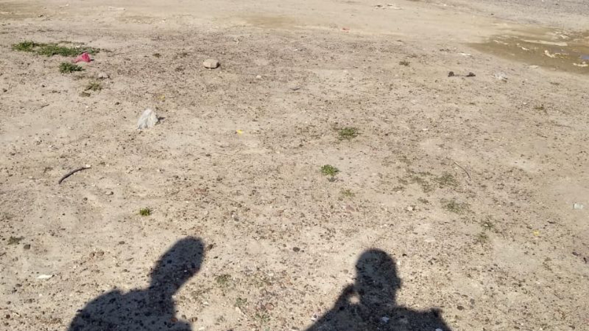 Incendio de vehículo: un auto quedó envuelto en llamas