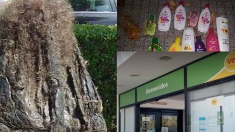 Necesitaba lavarse el pelo, no tenía dinero y robó shampoo y acondicionador en el supermercado
