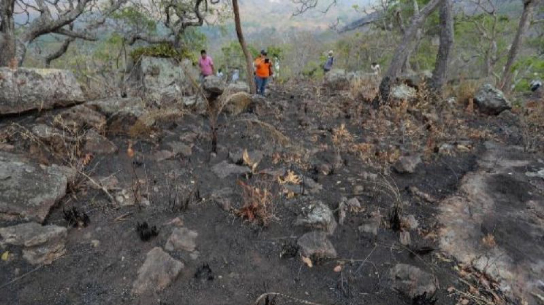Nuevo incendio en Brasil