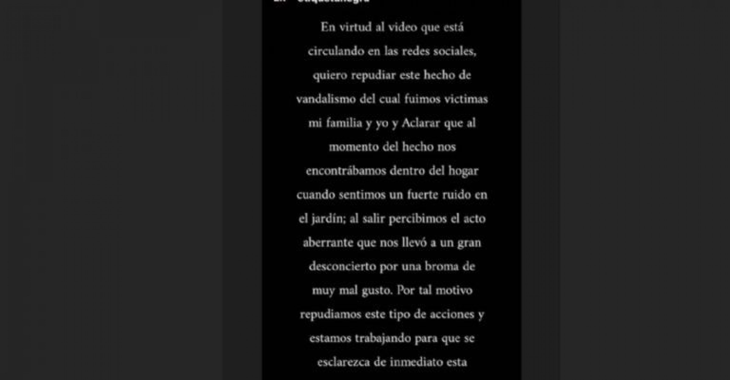 Álvarez Castillo sobre el video del cerdo arrojado a la pileta: “Quiero repudiar este hecho