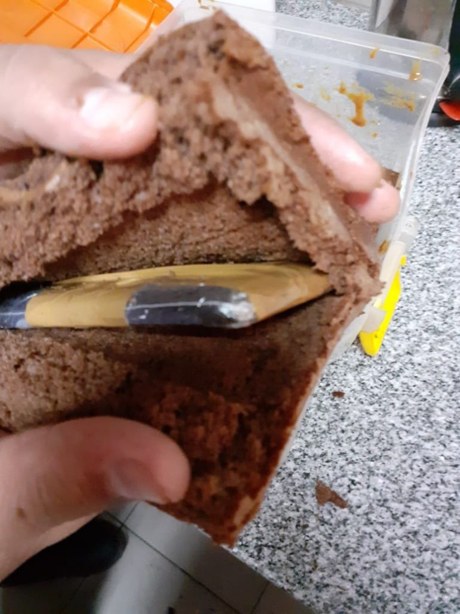 Trelew: la novia de un detenido camufló un celular