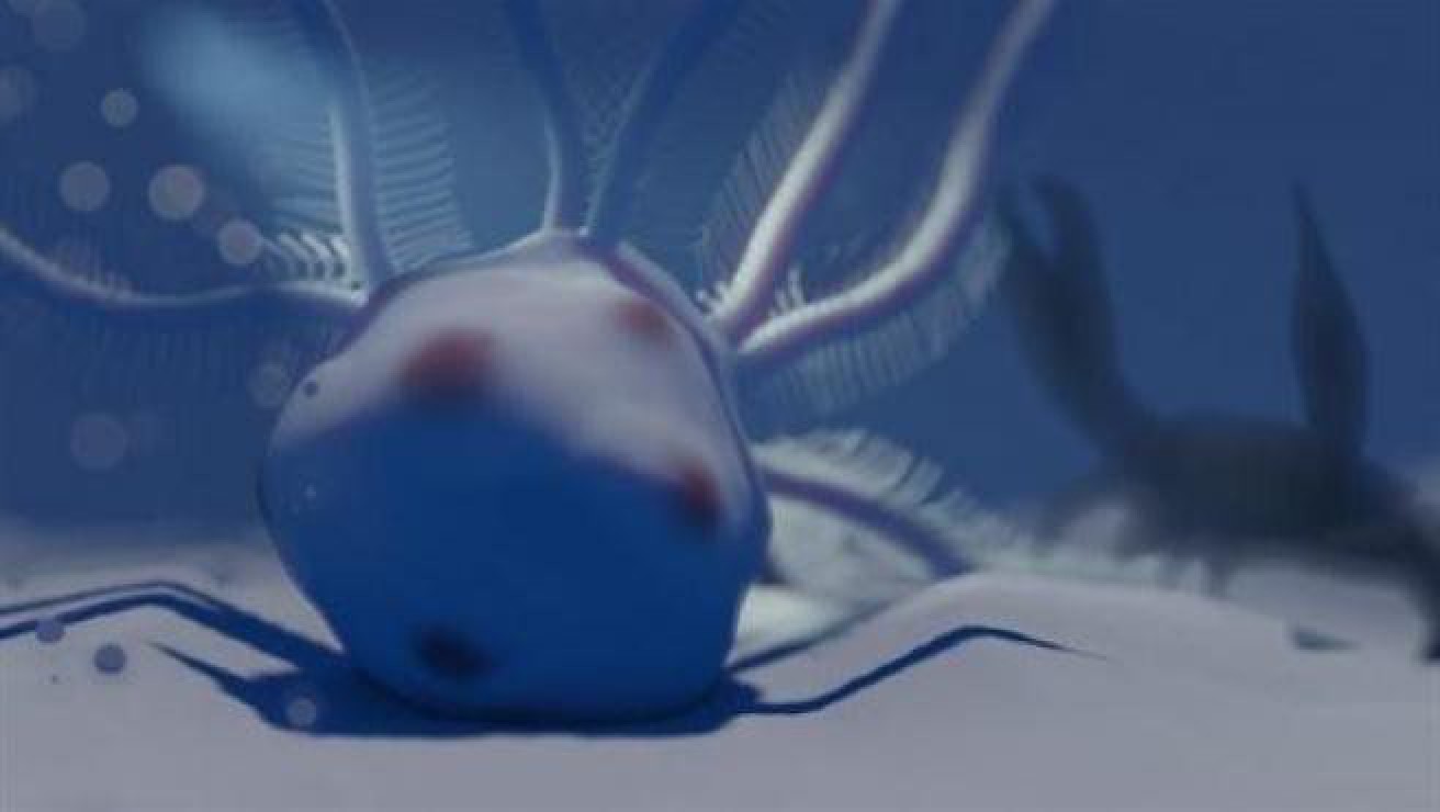 Increíble hallazgo de fósiles con estructuras huecas