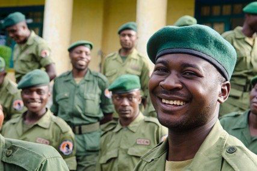 Leonardo DiCaprio lo hizo de nuevo: recaudó 2 millones para una reserva de gorilas