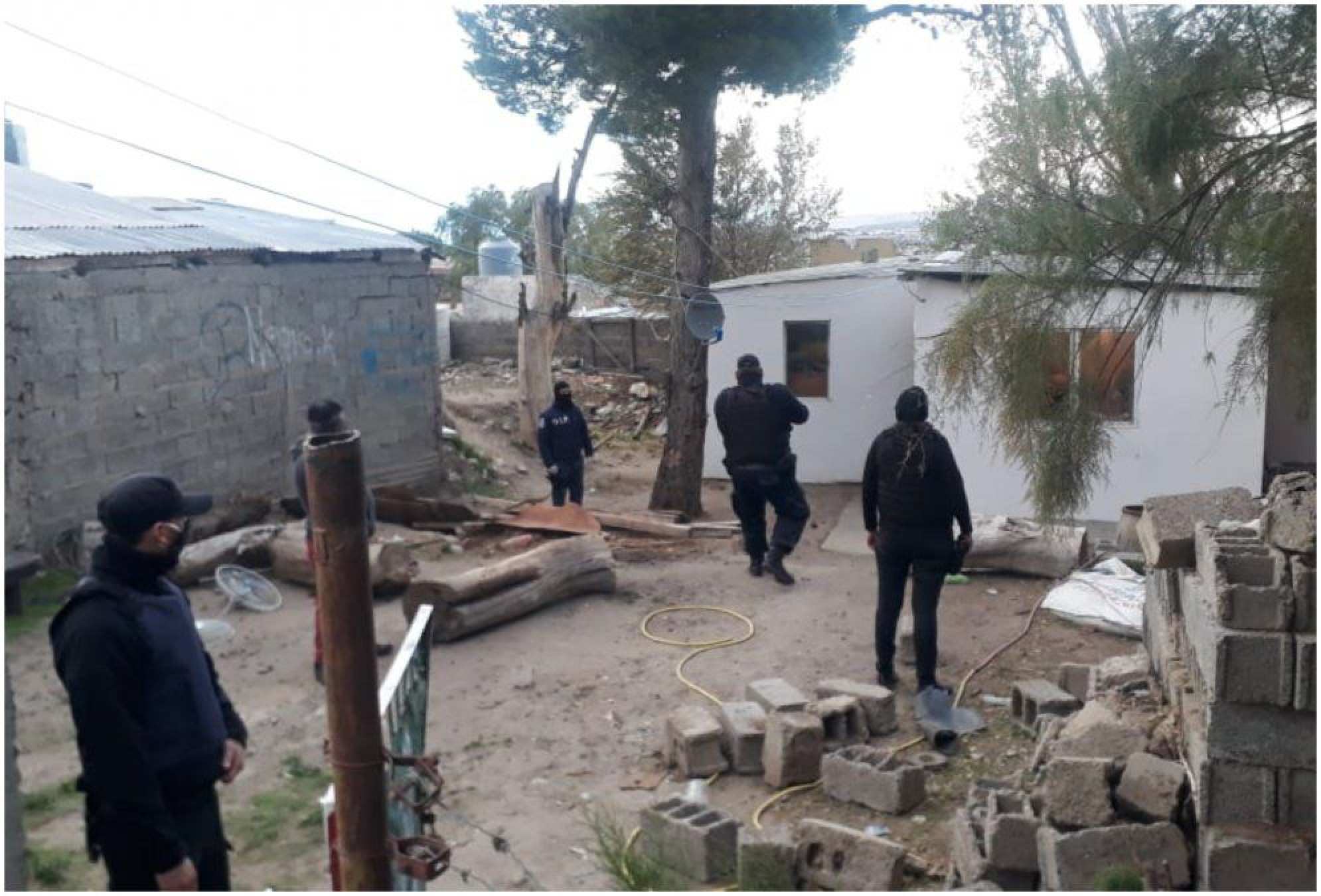 Allanaron por enfrentamientos armados entre bandas: terminaron encontrando plantas de marihuana