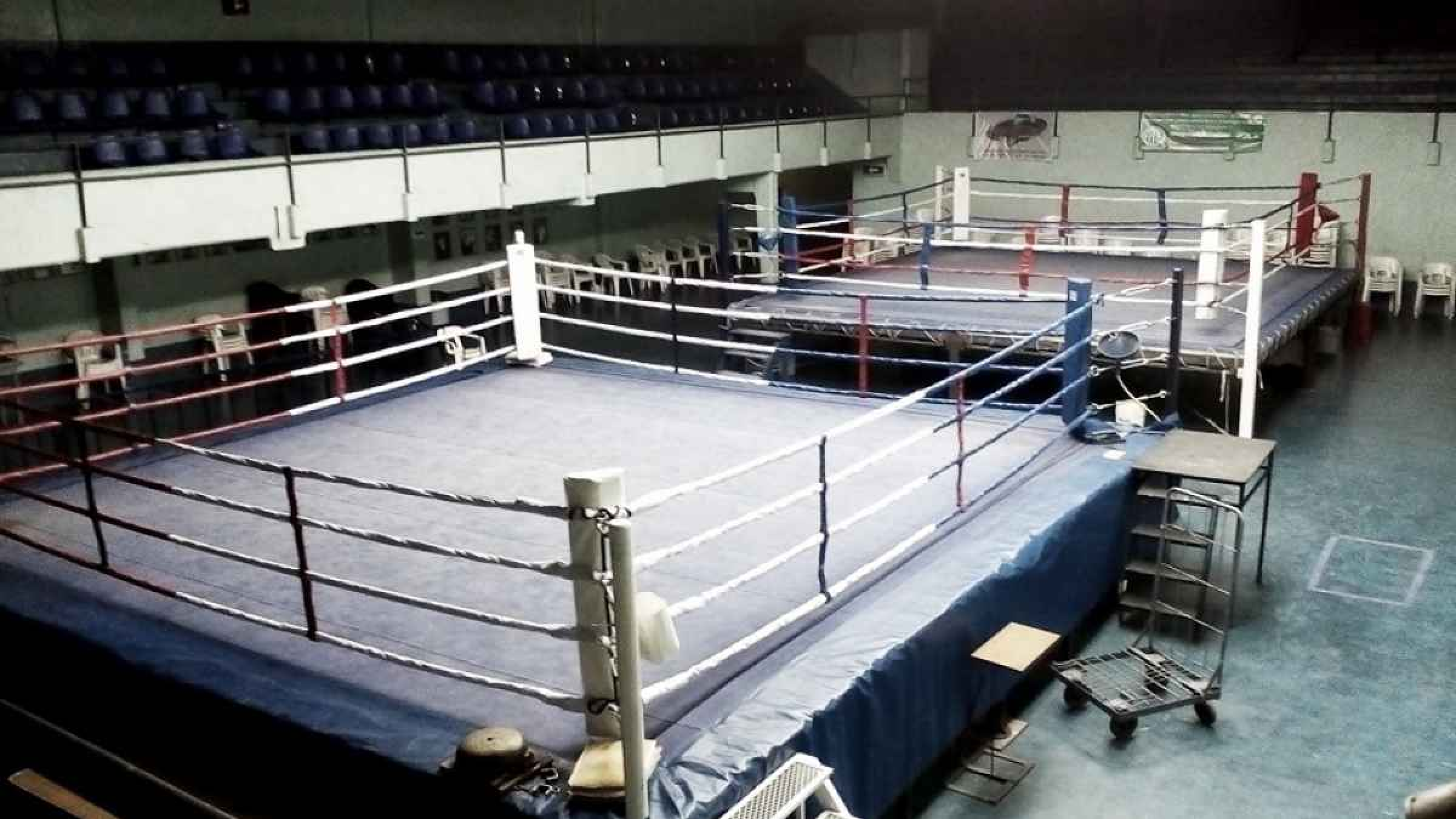 La FAB anunció que vuelve el boxeo