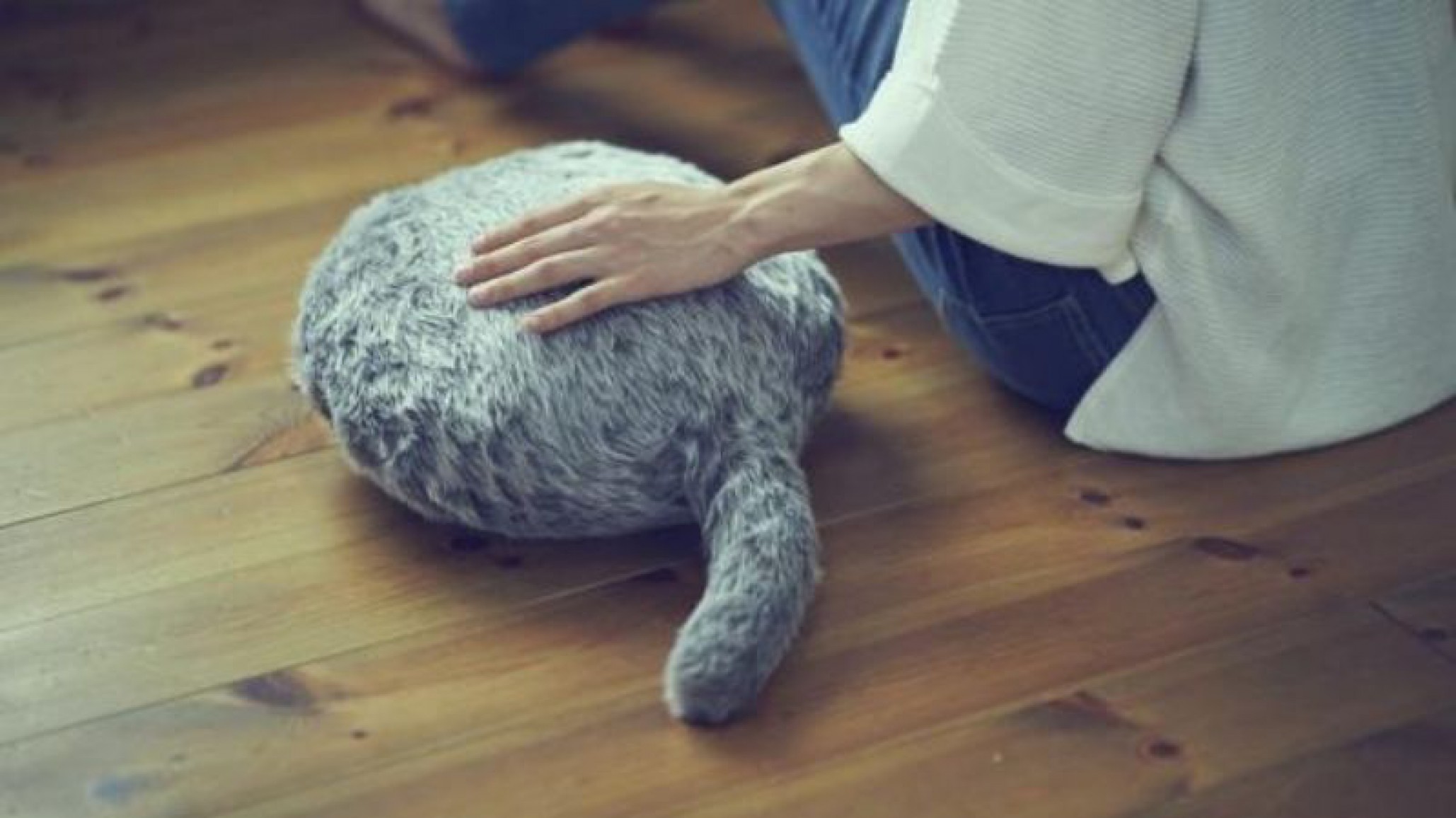 Japón: espeluznante gato robot sin cabeza