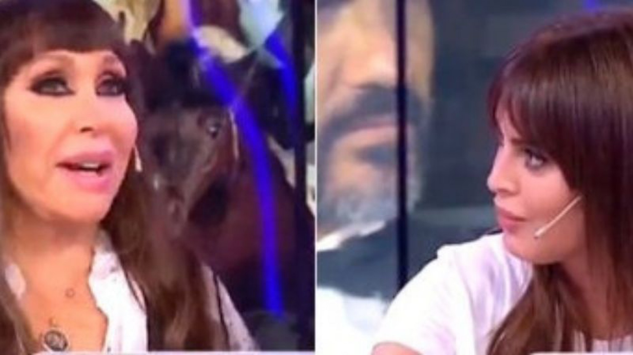 Tras el reto de Moria, Silvina Luna renunció a “Incorrectas