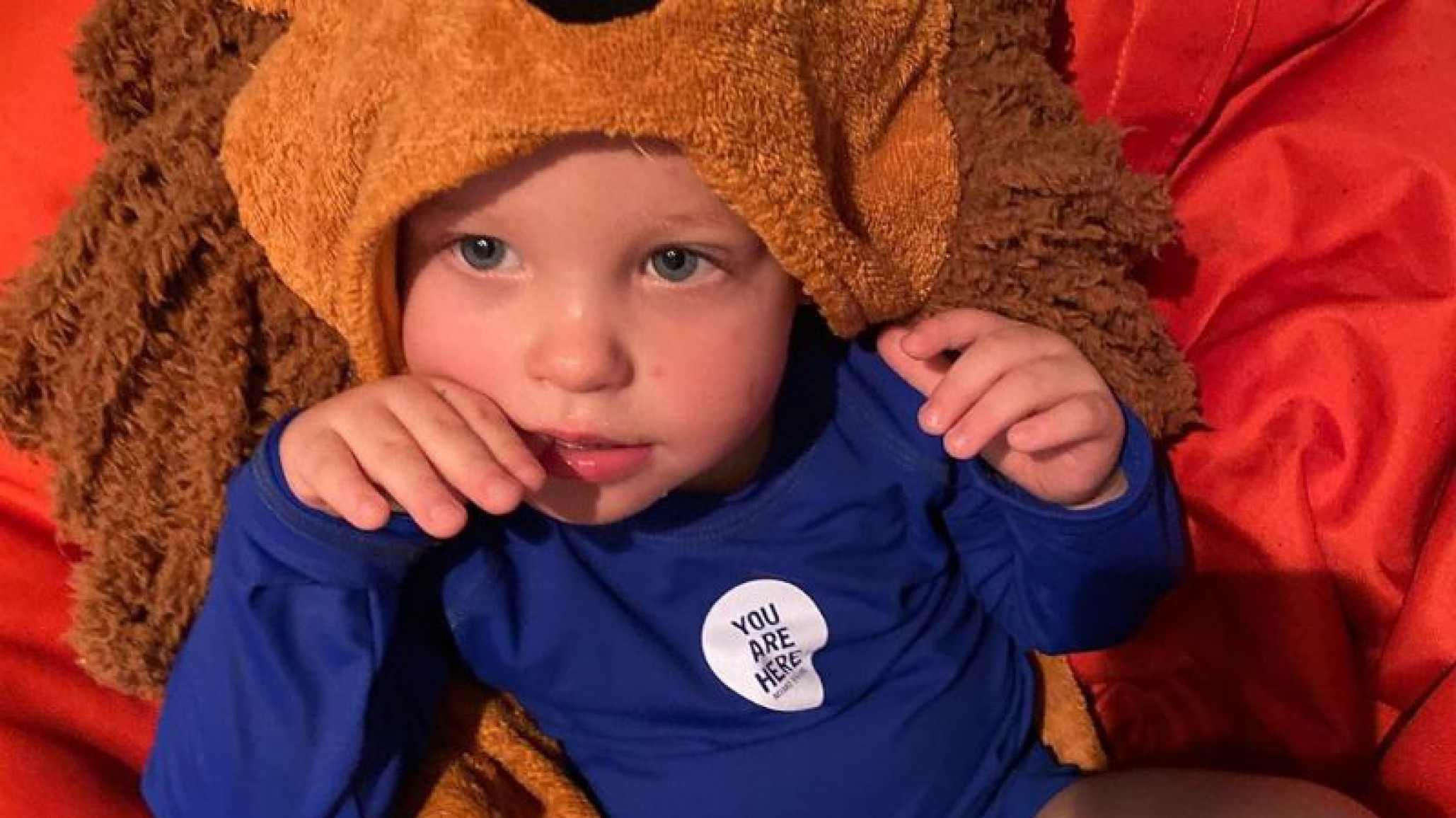 ¡Travesuras!: Mirko junto a su amigo más fiel