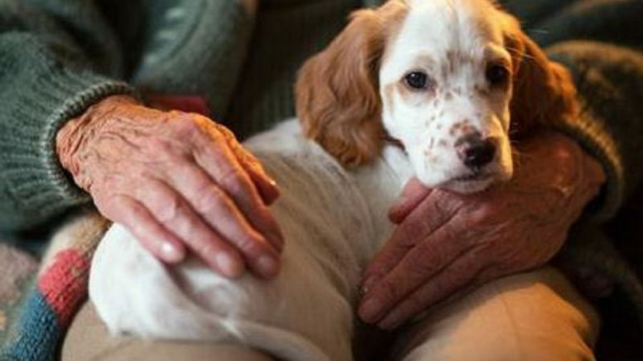 Tiene una enfermedad terminal y como último deseo pidió ver a su perro