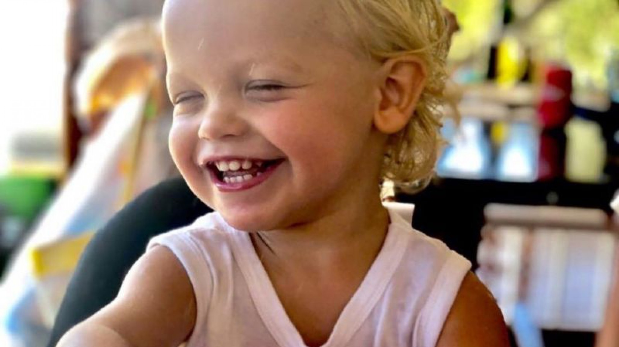 ¡Como pasa el tiempo! Mirko cumple 2 años y Marley le dedicó nueve fotos