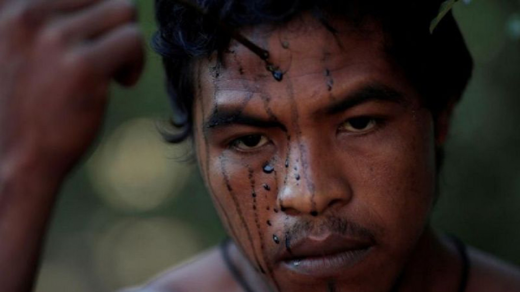 Asesinato en el Amazonas: un “guardián del bosque” brasileño perdió la vida a manos de madereros ilegales