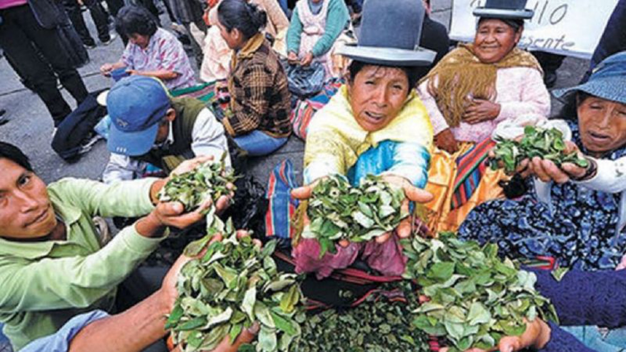 Cocaleros bolivianos piden la renuncia de la presidenta interina con un ultimátum de 48 horas