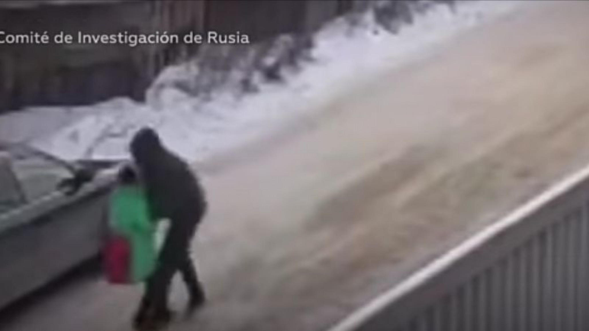 Vídeo: Un pedófilo intentó secuestrar a una niña y un adolescente pudo salvarla