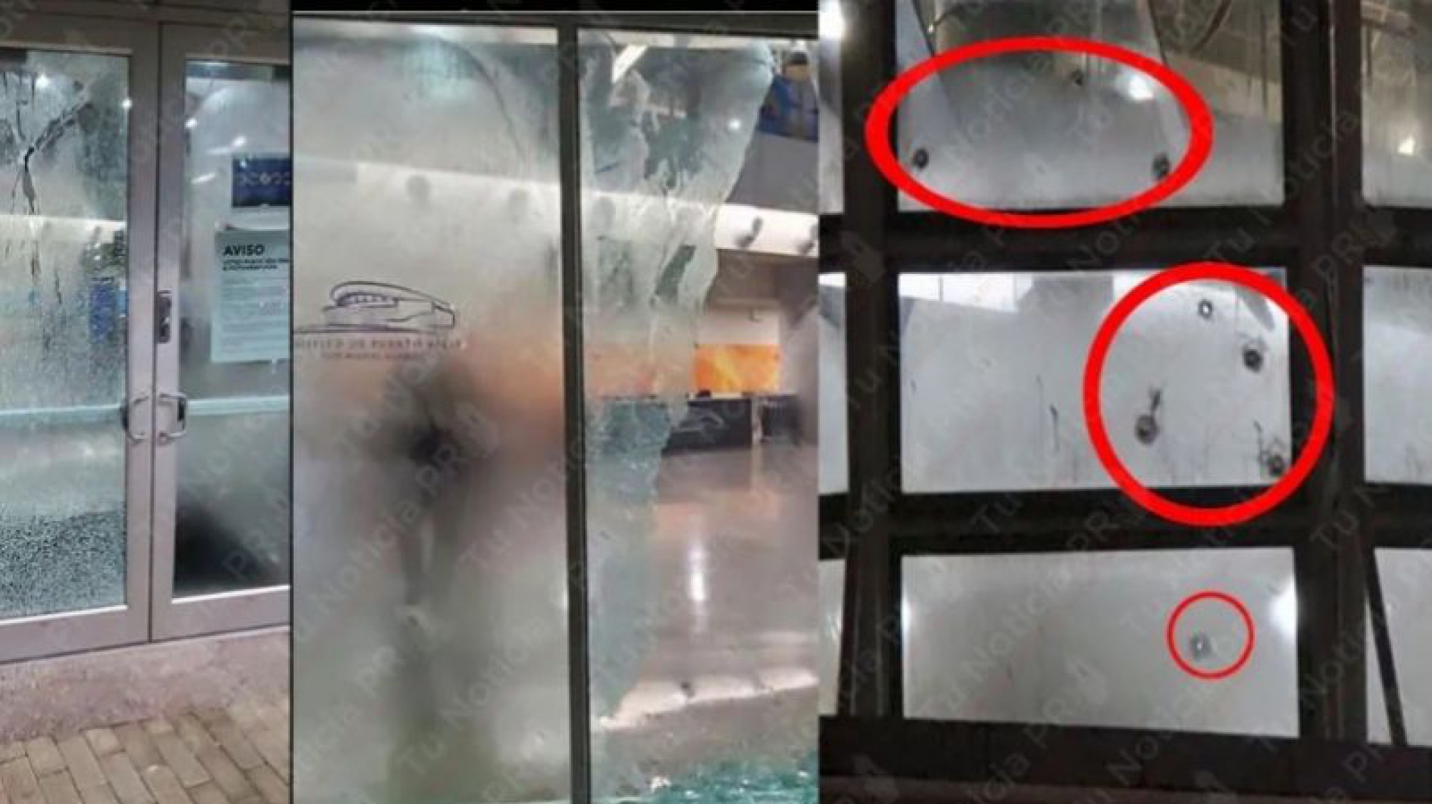 Tirotearon el Coliseo de Puerto Rico, horas antes había tocado Daddy Yankee