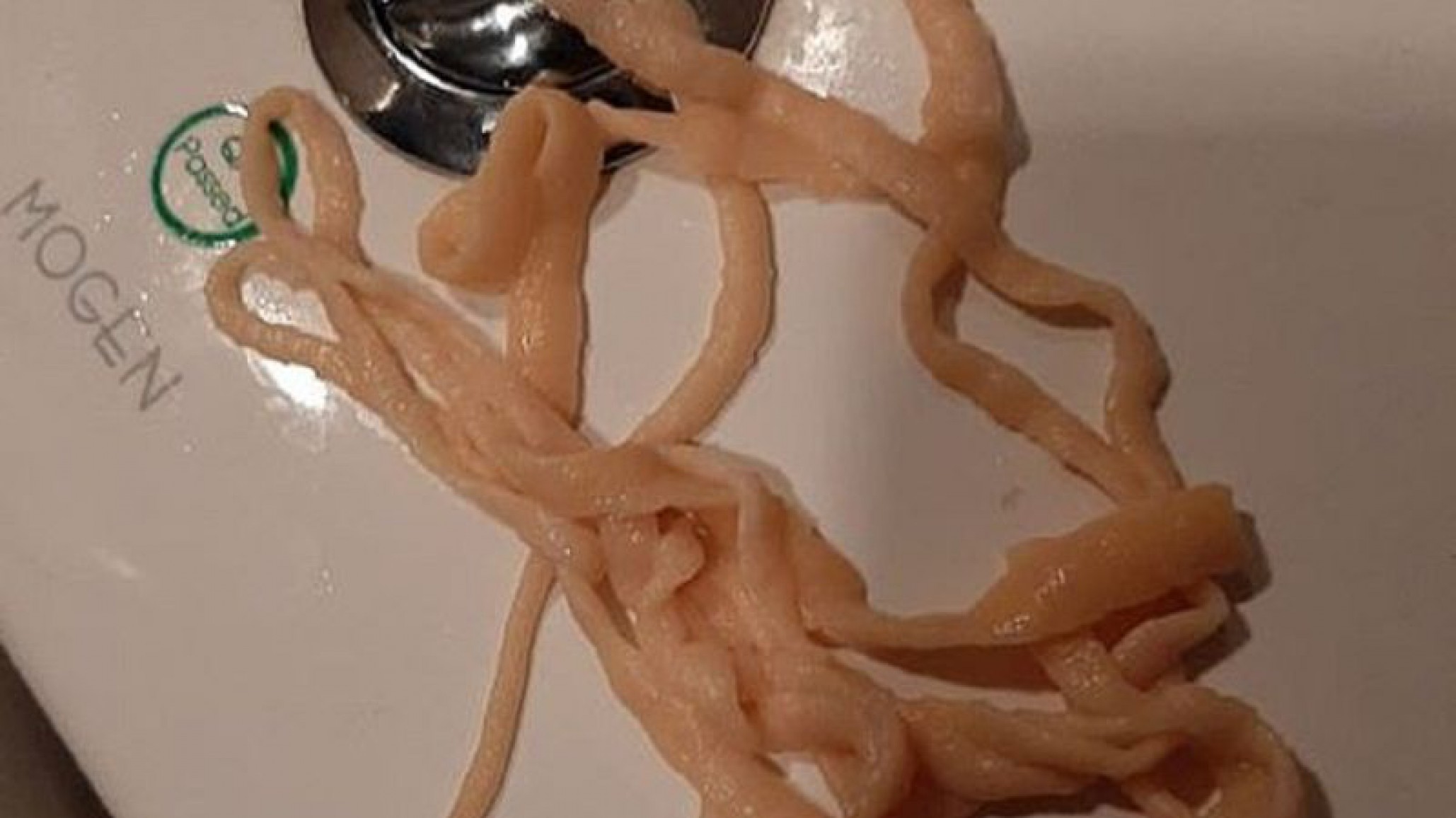 Asqueroso video: un hombre tailandés grabó la lombriz solitaria que dejó en el inodoro