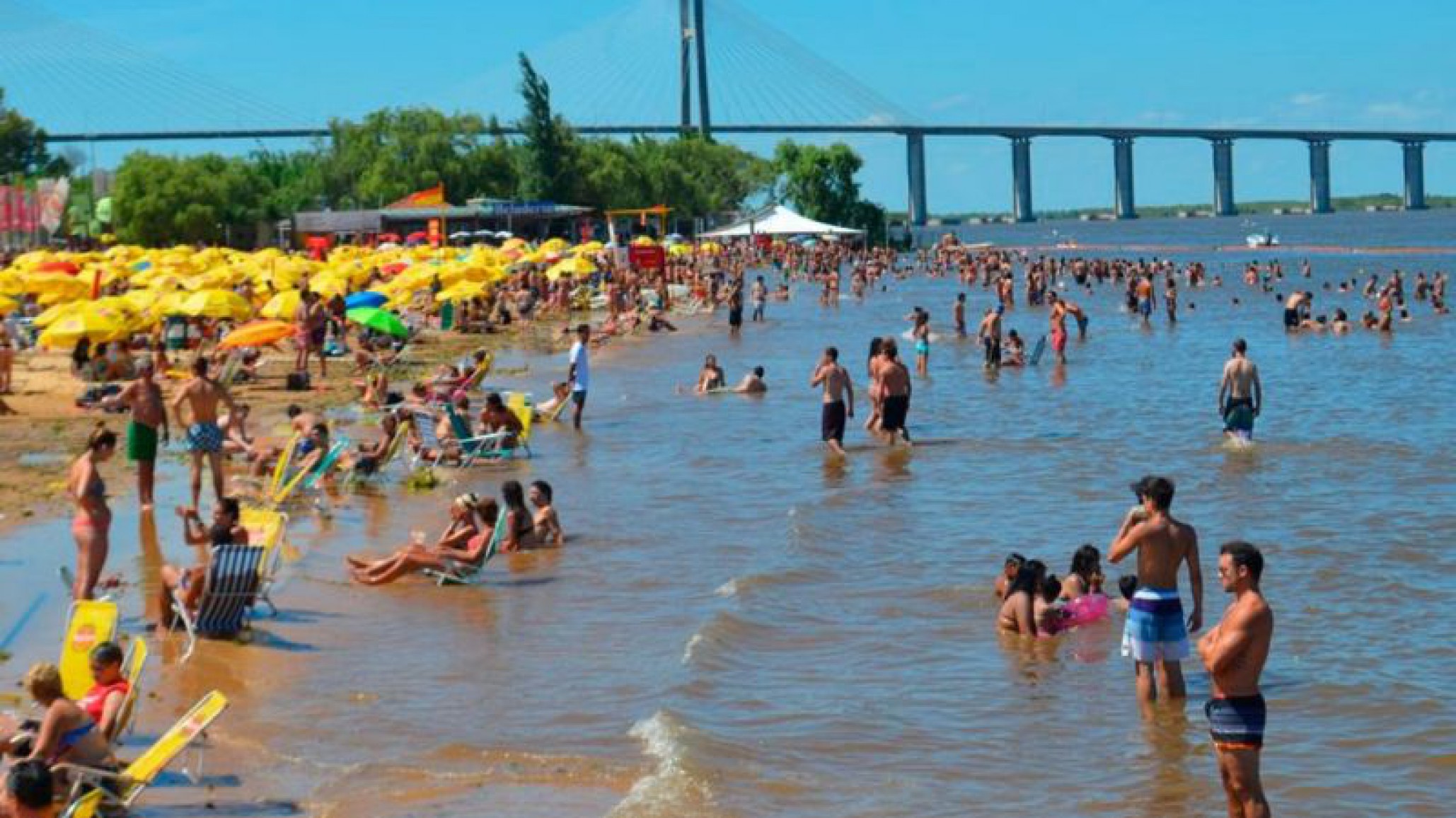 Rivera riesgosa: Un periodista rosarino atacado por una raya fue internado en terapia intensiva