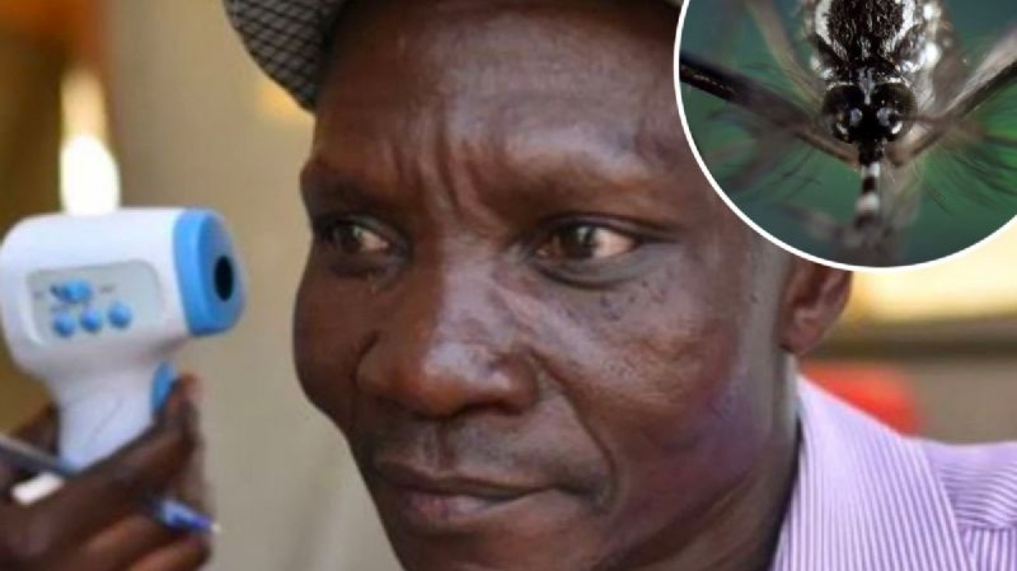 ¡Increíble! Contratarían a un hombre para fabricar un repelente de insectos por su insólita manera de matarlos