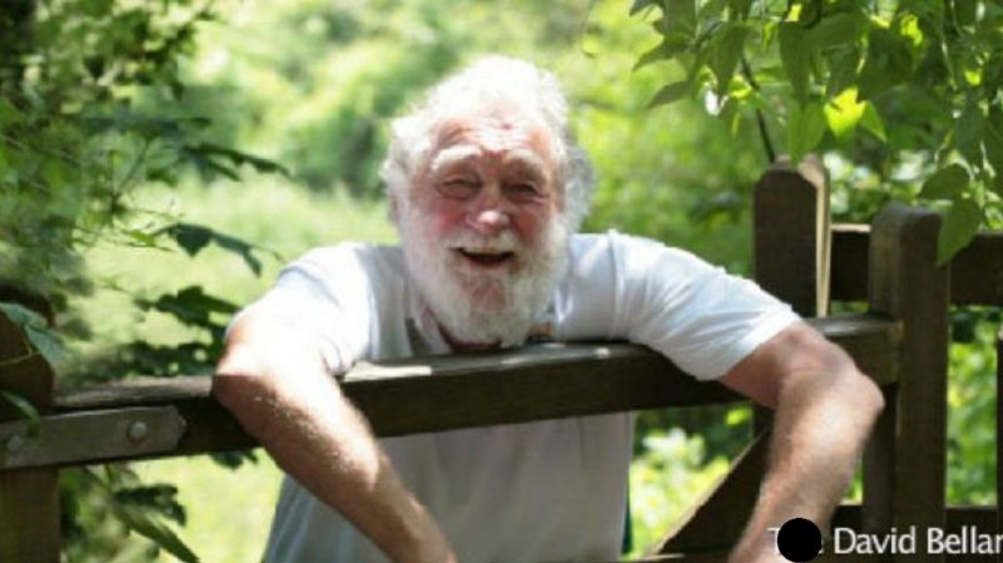 A los 86 años muere el controvertido naturalista británico David Bellamy