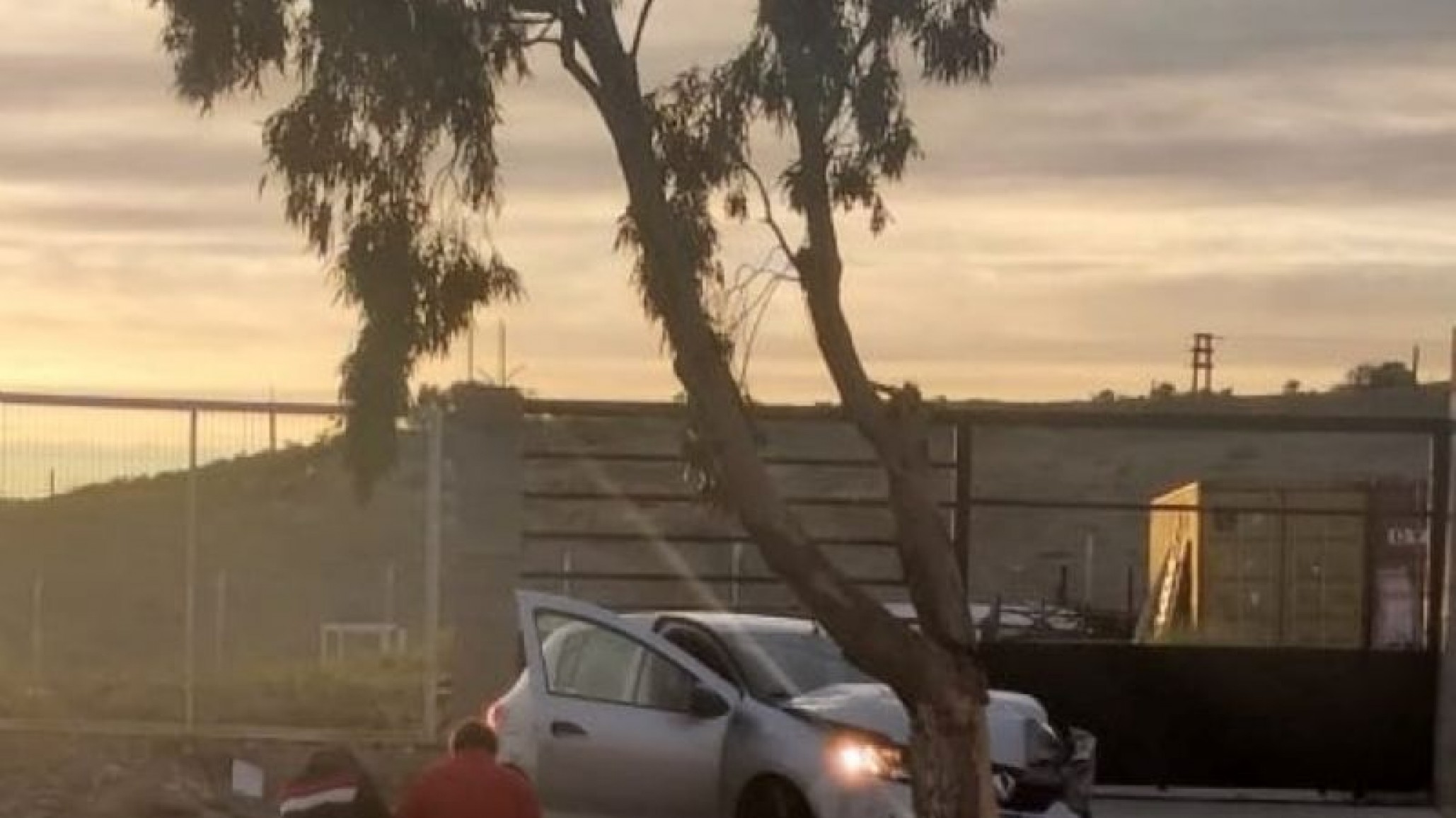 Comodoro: Manejaba alcoholizado y chocó contra un árbol