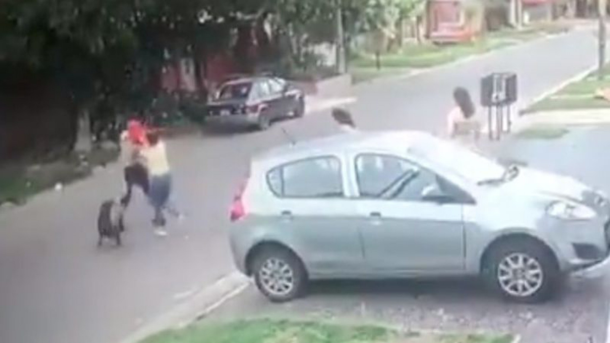 Ladrón le quiso robar a una luchadora de Kick Boxing, se llevó una paliza