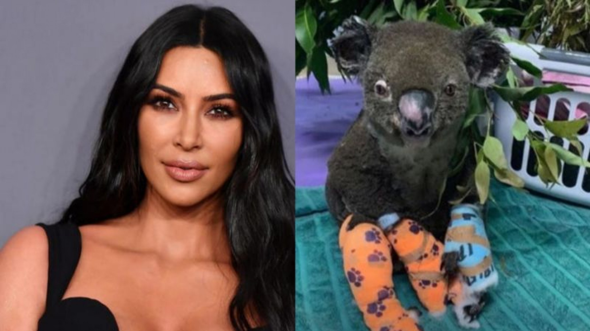 Kim Kardashian clama por la lucha contra los incendios y los animales en Australia