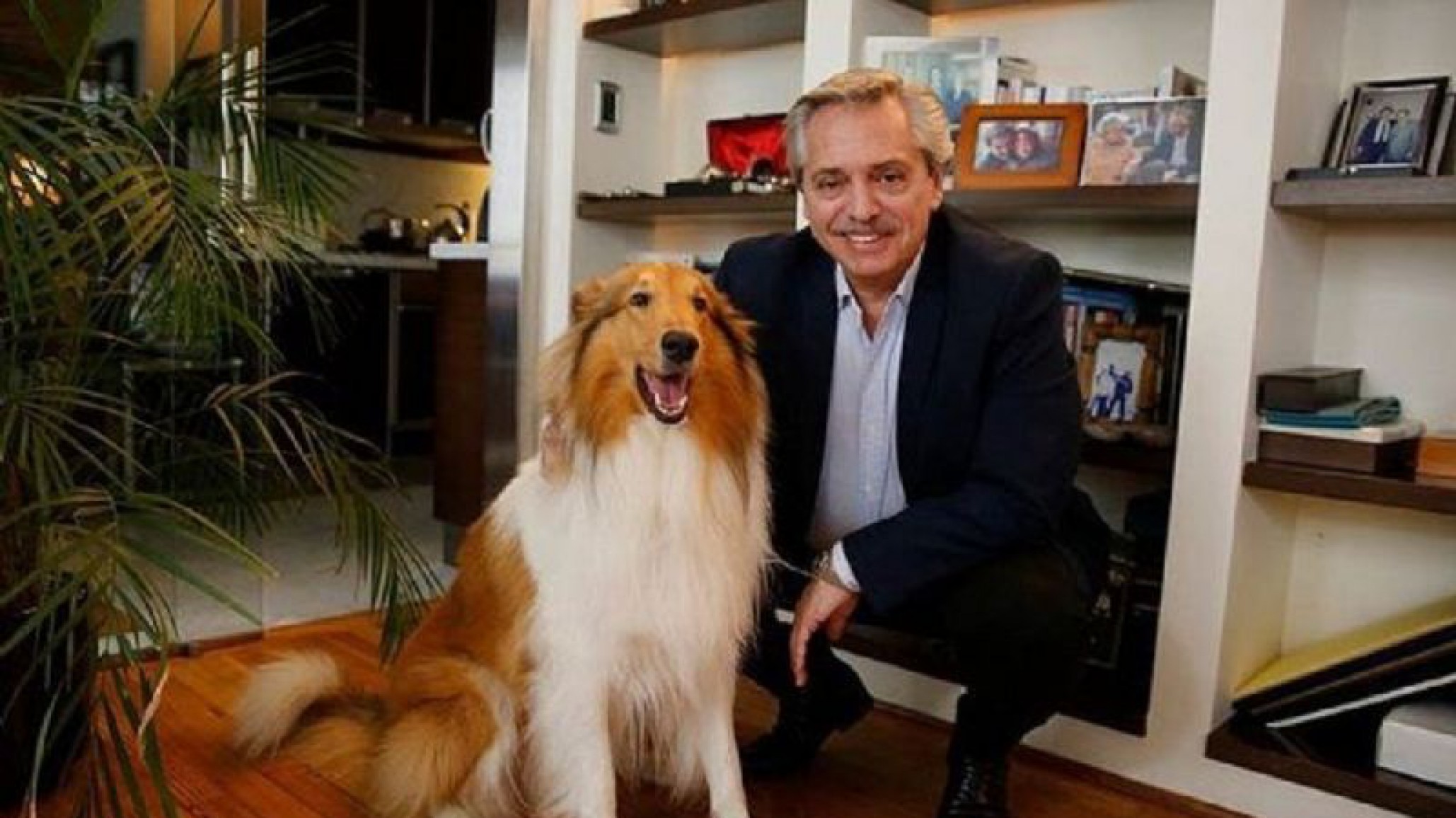 Alberto Fernández festeja el cumpleaños de su perro Dylan con un tierno video