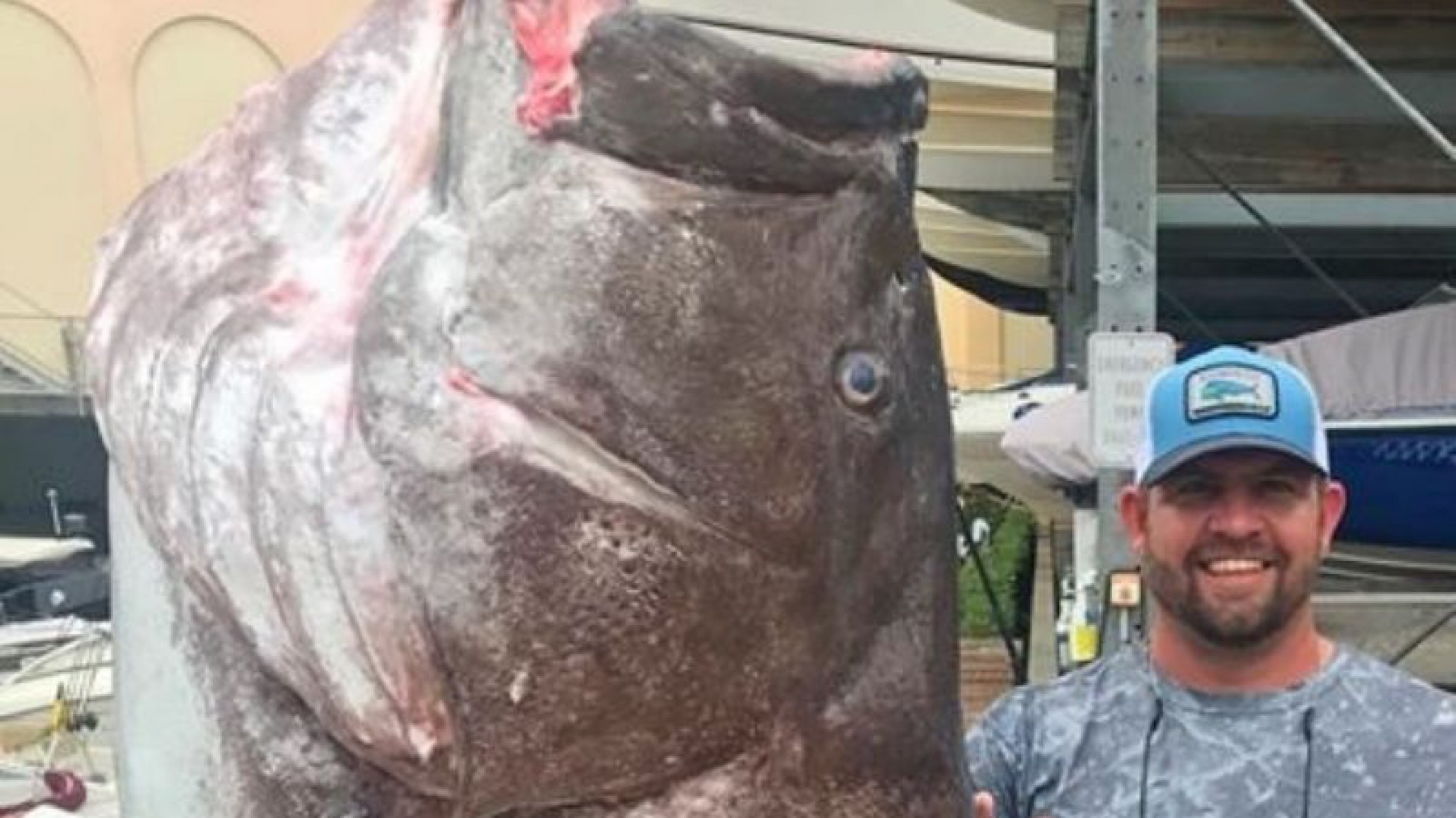 Pescó una especie en extinción, un mero de 50 kilos y fue cuestionado en redes sociales