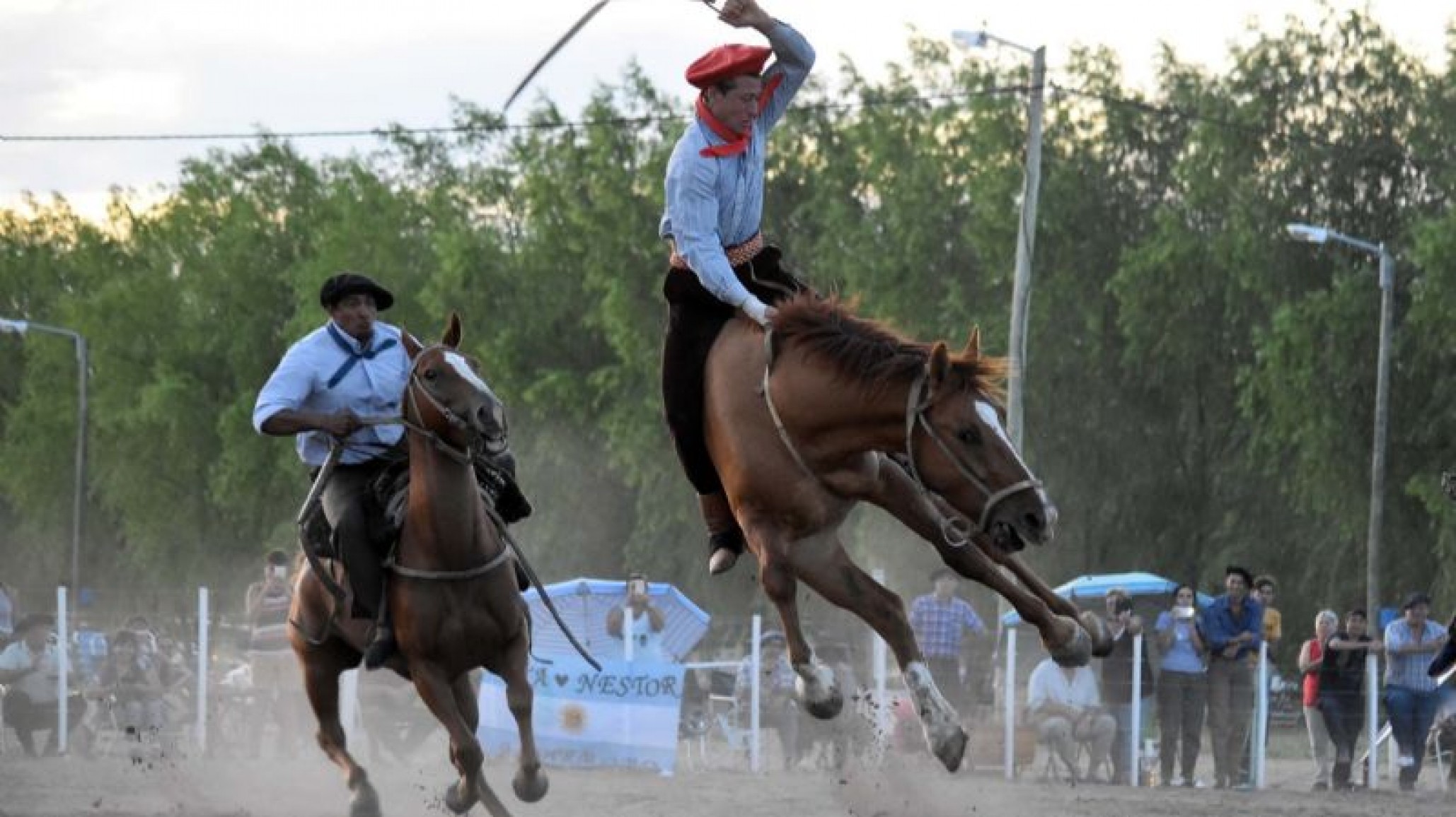 La ONG exige que se derogue la ley que reconoce la jineteada como deporte