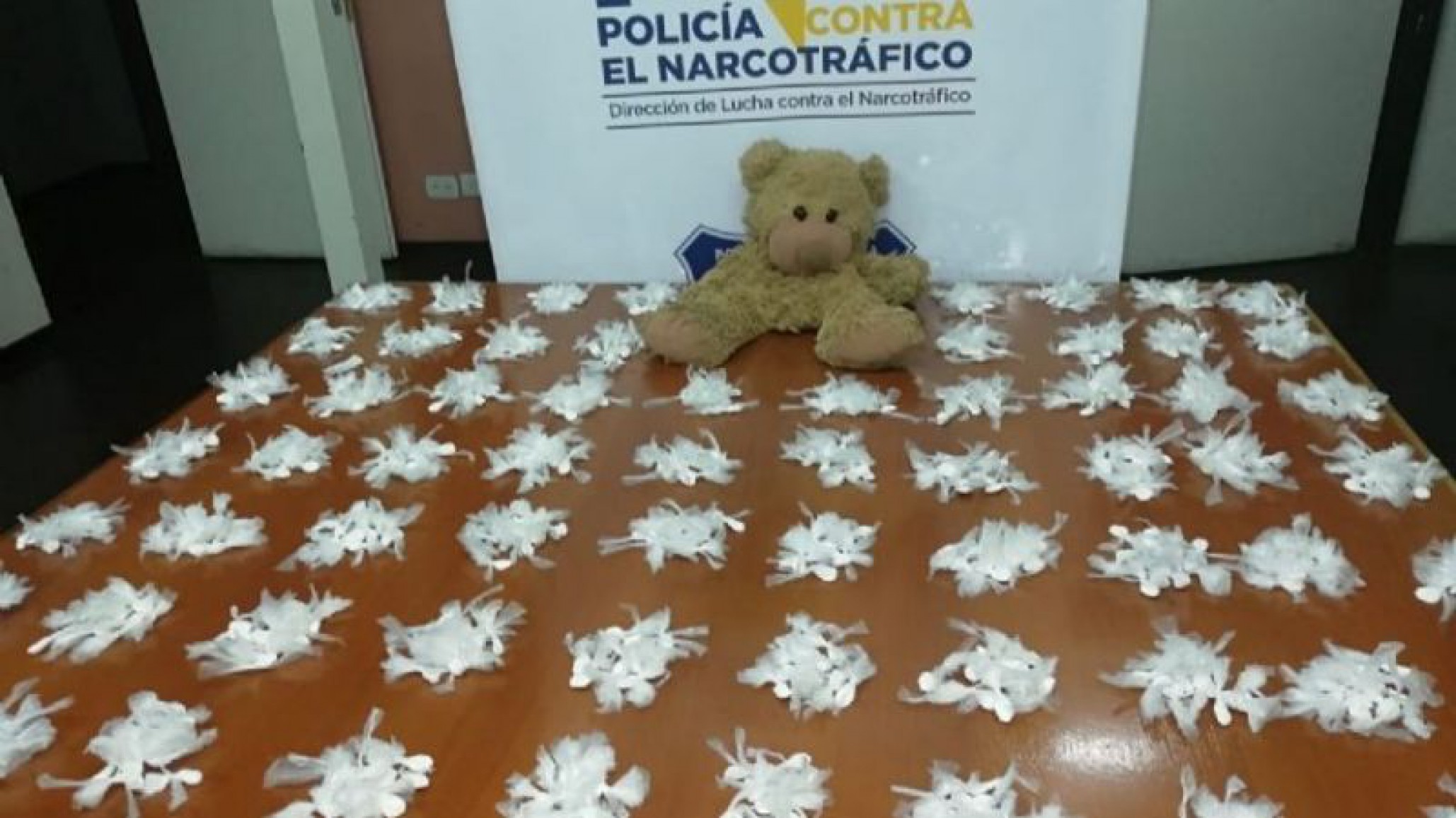 Insólito: Secuestraron 1800 dosis de cocaína escondidas en un oso de peluche