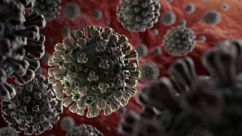 Son 70 las víctimas por Coronavirus en la Argentina #QuedateEnCasa