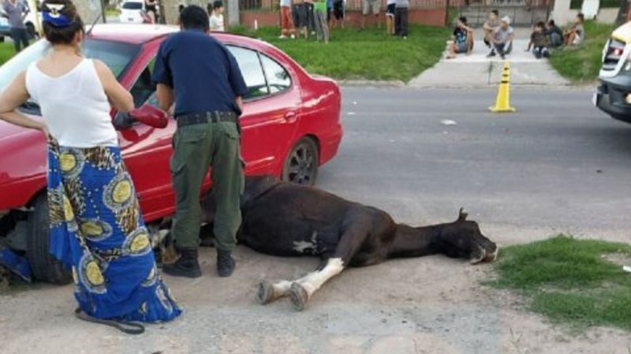 Entre Ríos: Violento accidente de tránsito deja como saldo una embarazada hospitalizada y un caballo muerto