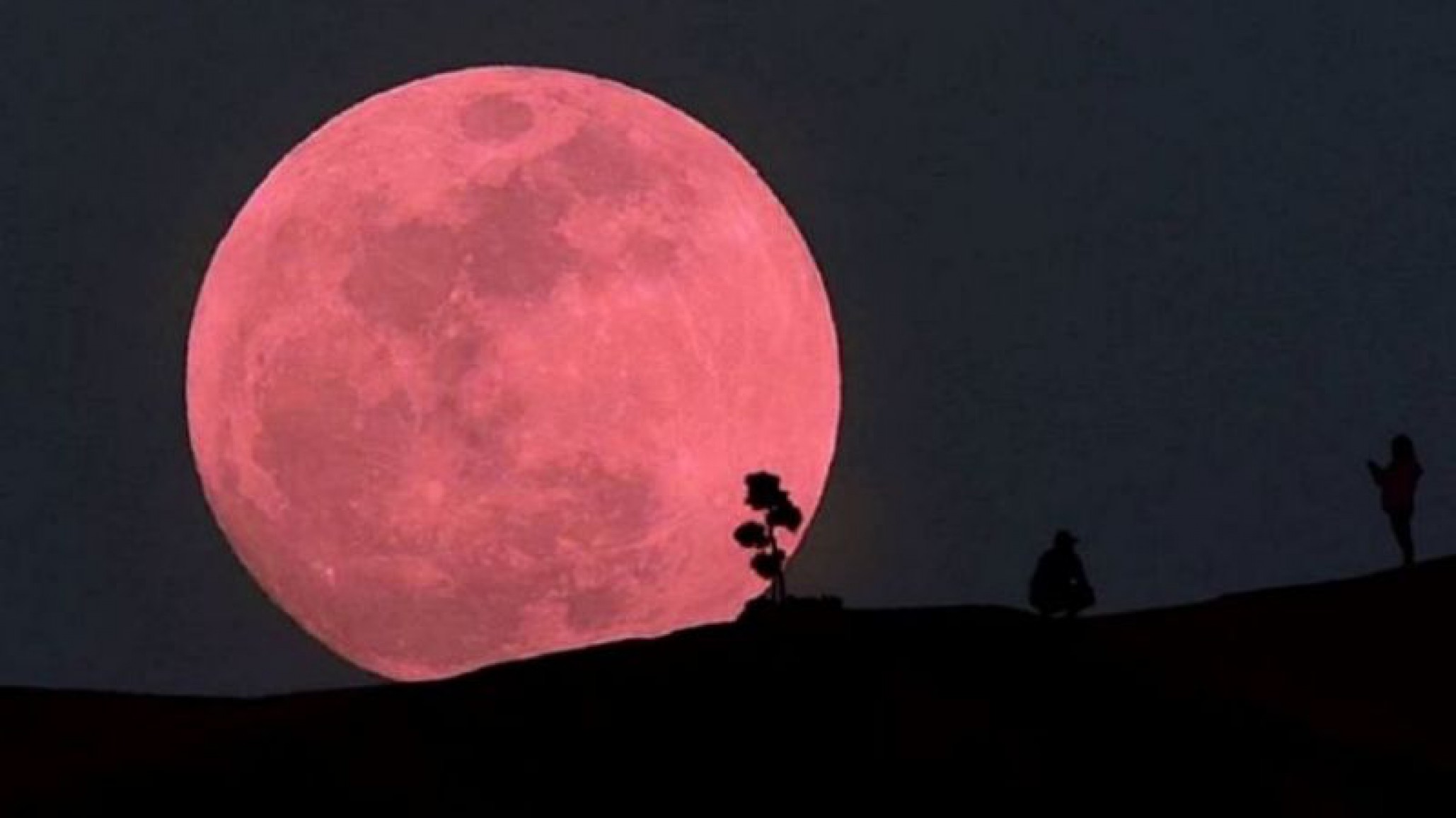 Postales: Así se vio la SuperLuna rosa en todo el país