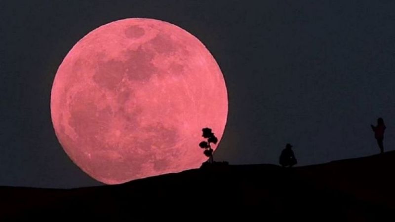 Postales: Así se vio la SuperLuna rosa en todo el país