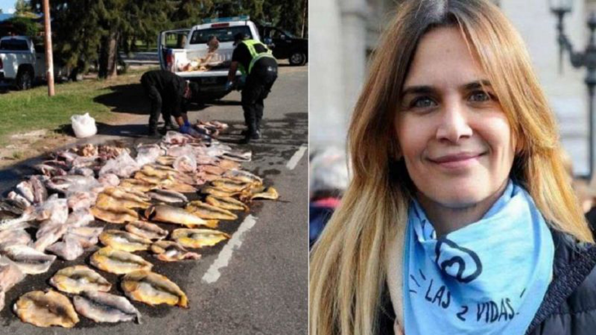 Amalia Granata pidió al gobernador de Santa Fe que informe sobre qué medidas está tomando para evitar la pesca indiscriminada