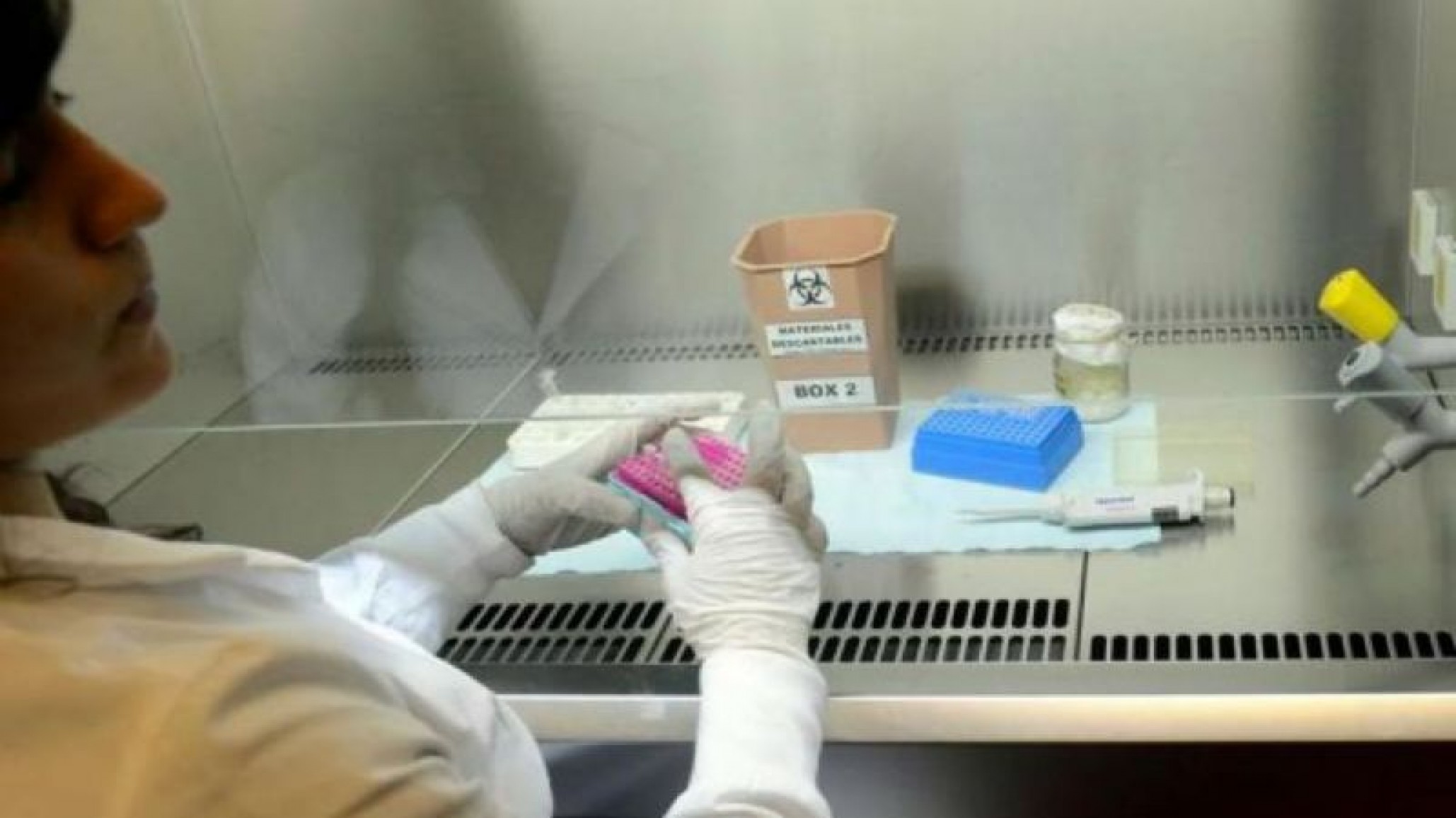 Argentina: Regulan el uso de plasma de pacientes recuperados de Covid19 con fines terapeúticos