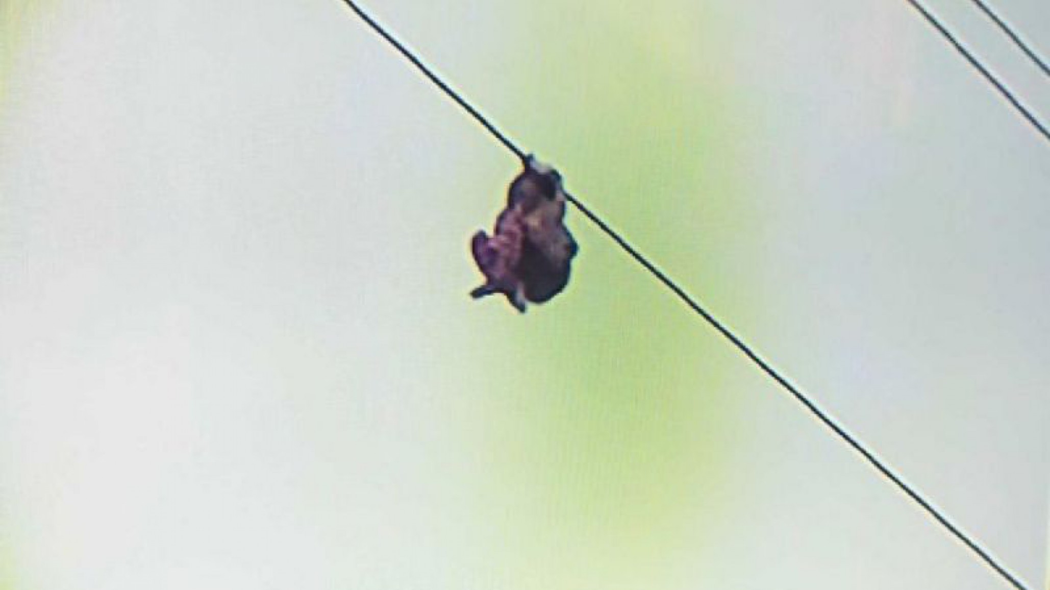 Video: Nena de 9 años jugaba en una obra en construcción y terminó colgada de un cable de alta tensión