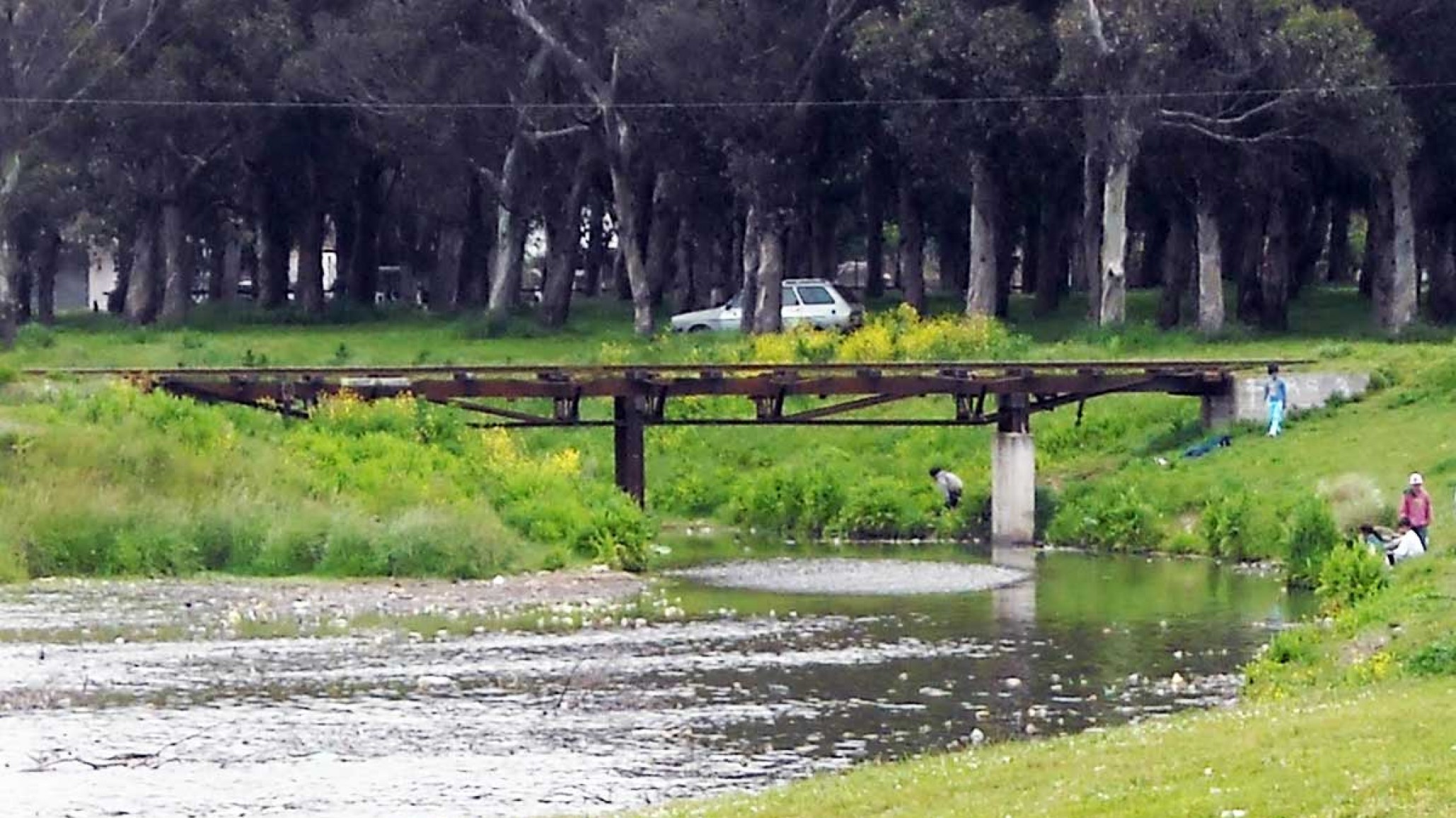 Disparo por la espalda, desfigurado y abandonado