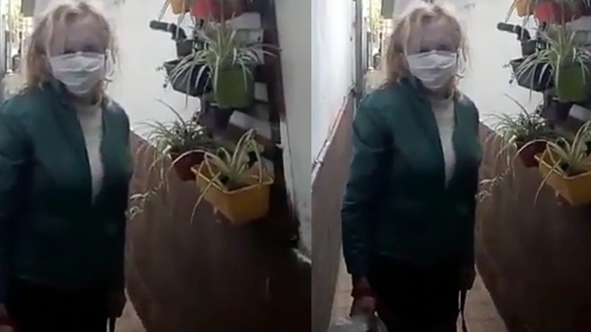 Zulma Lobato apareció y tendría coronavirus