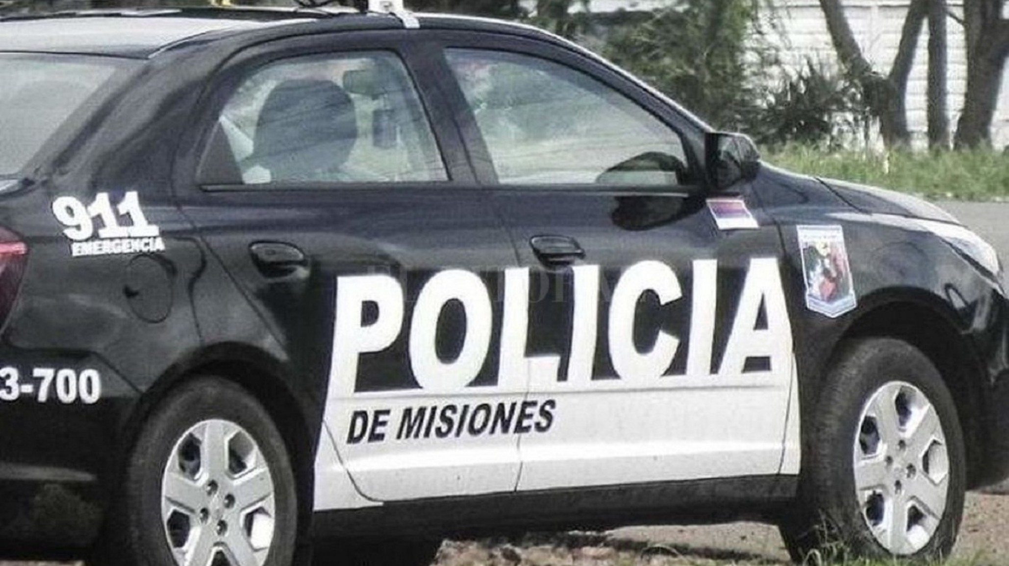 Niño de 5 años murió luego que se le cayera un árbol encima