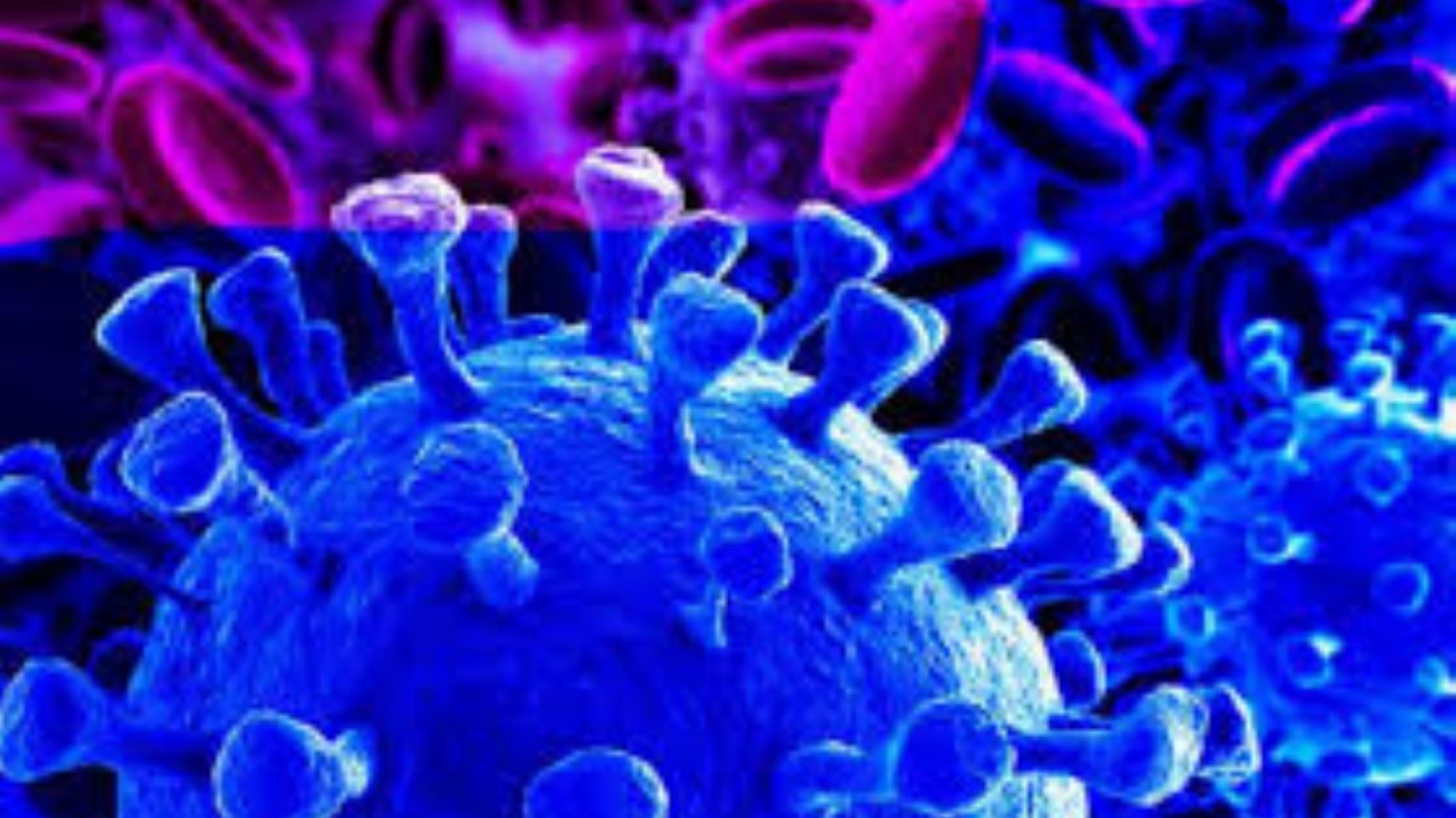 Coronavirus: 4.681 infectados y 241 fallecidos en Argentina