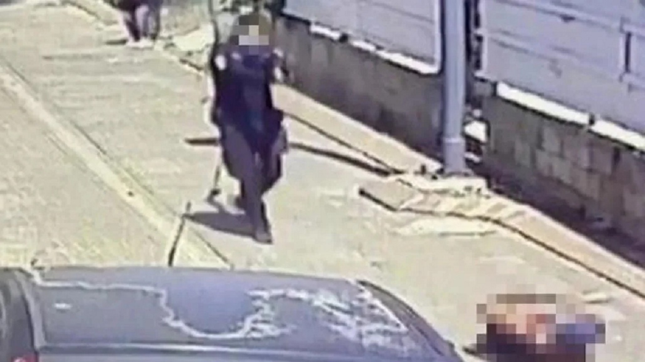 Policía asesinó a un hombre que intentaba matar a sus mascotas en Israel