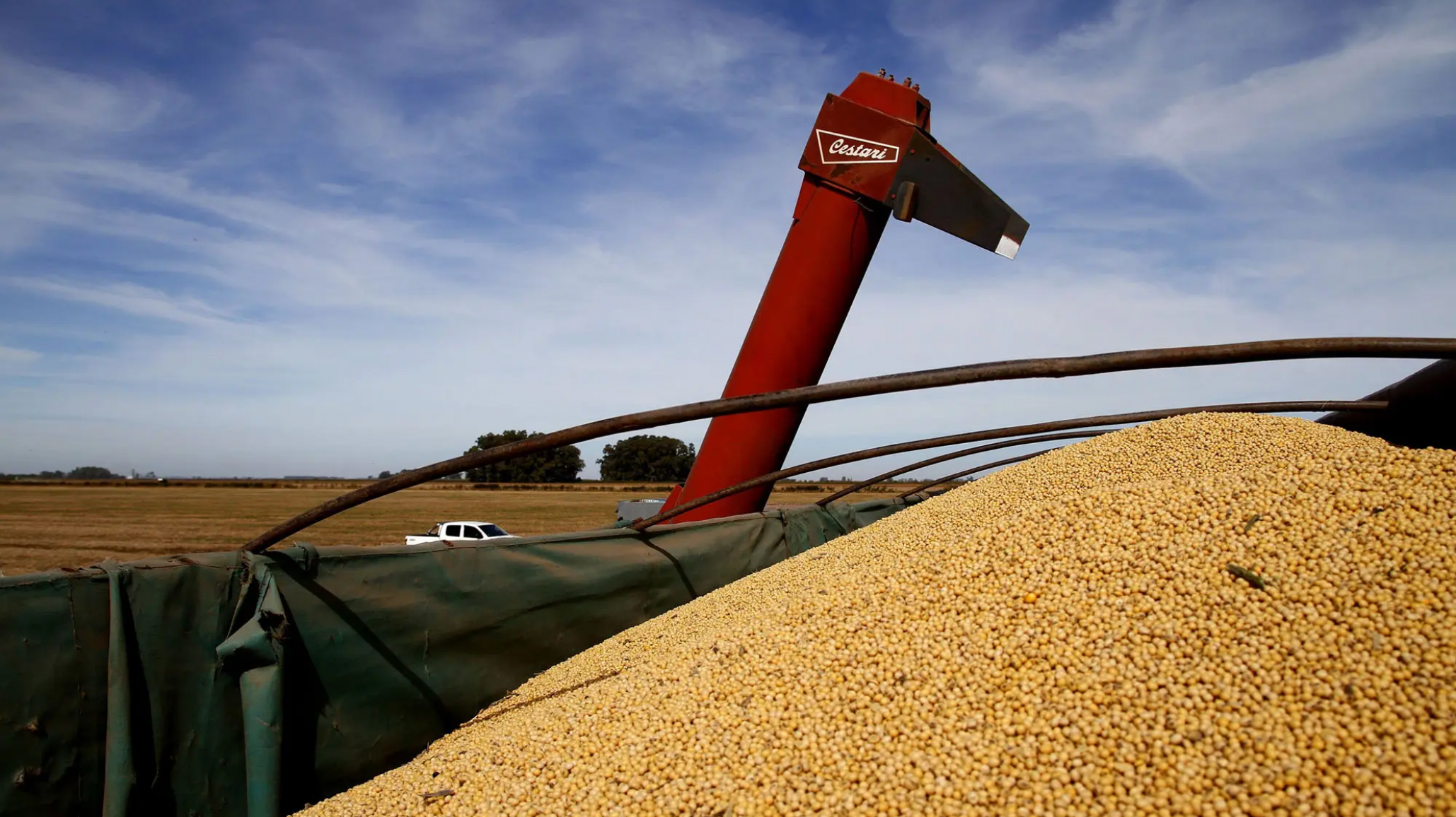 Cayeron los precios del maíz, el trigo y la soja